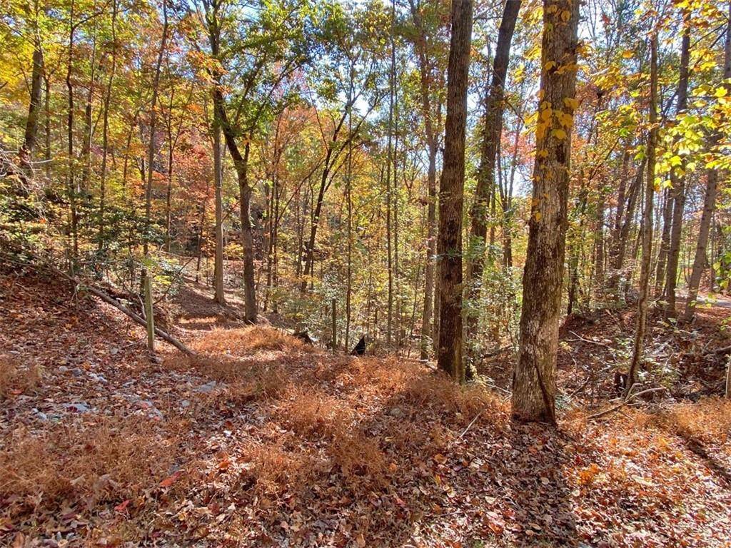 Dahlonega, GA 30533,2.43ac Old River RD