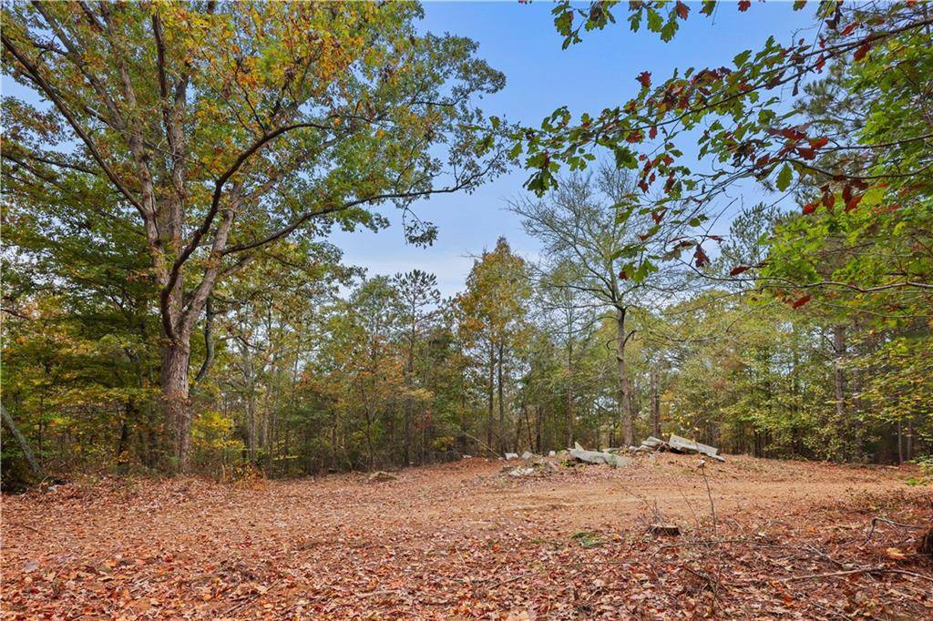 Elberton, GA 30635,Lot 3 Mill ST