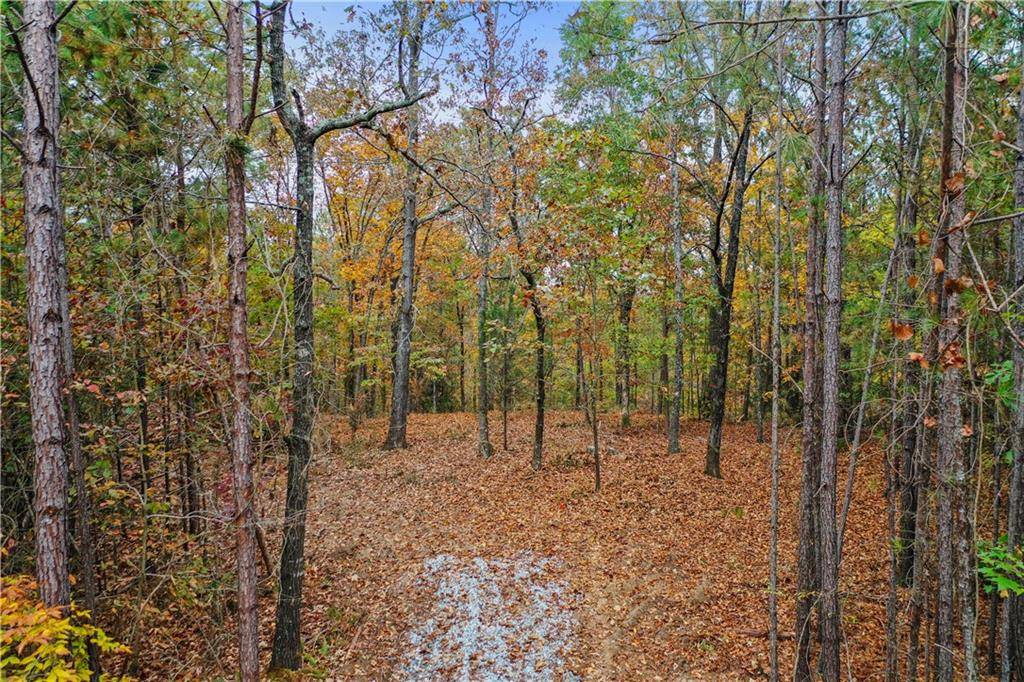 Elberton, GA 30635,Lot 4 Mill ST