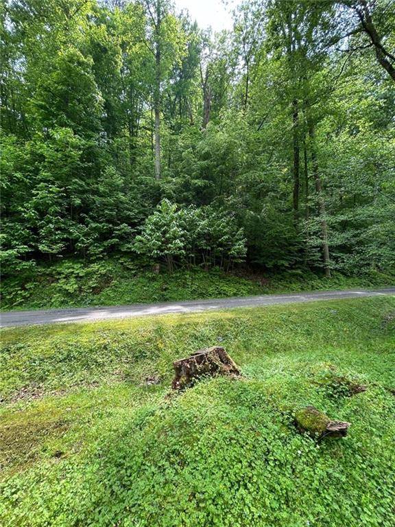 Ellijay, GA 30540,LT244 Cherokee DR