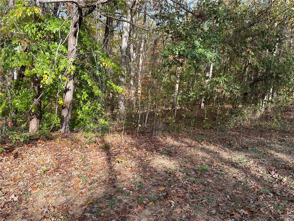 Canton, GA 30114,5.6 ac Neil Densmore TRL