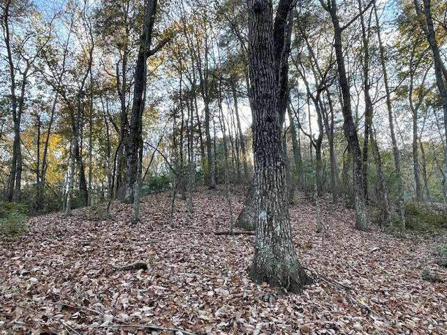 Cleveland, GA 30528,LOT242 S Laceola RD