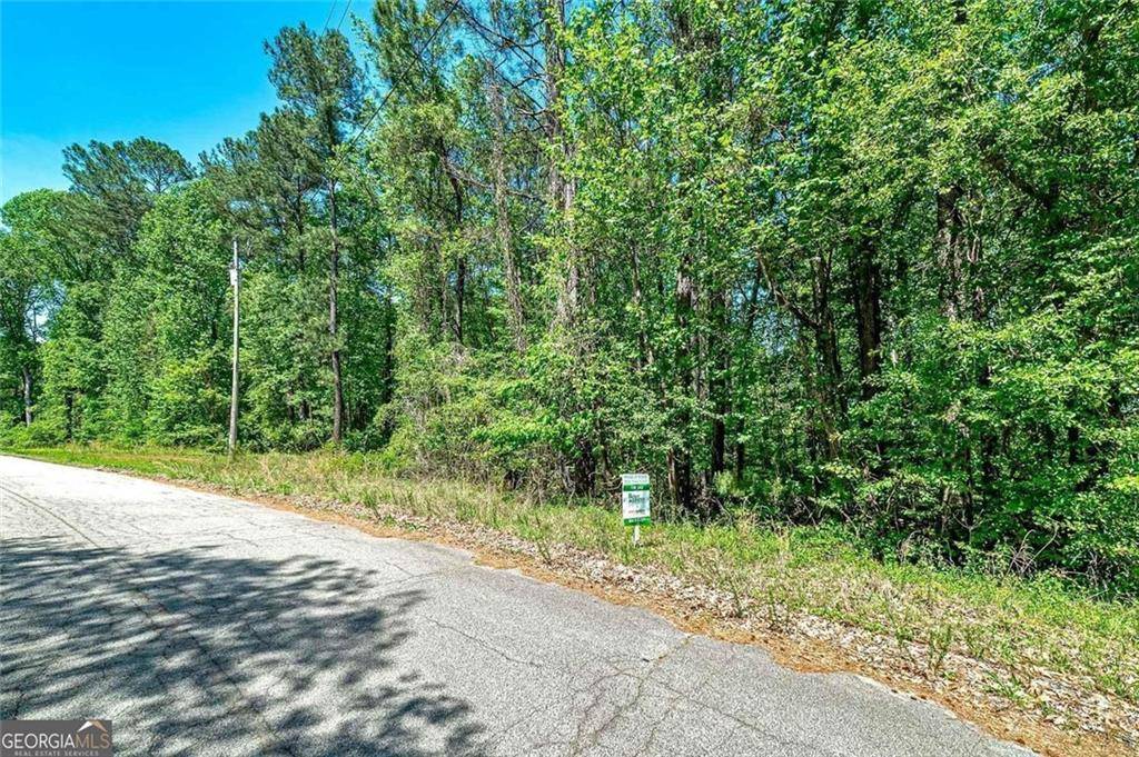 Stockbridge, GA 30281,Lot 53 Springvalley CIR E