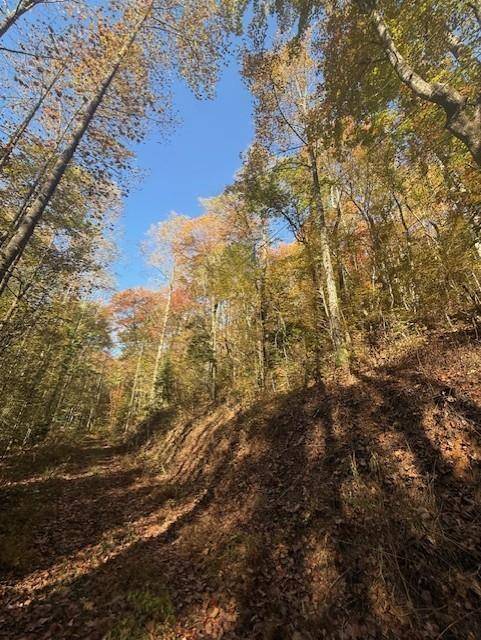 Ellijay, GA 30540,0 Mulberry TRL