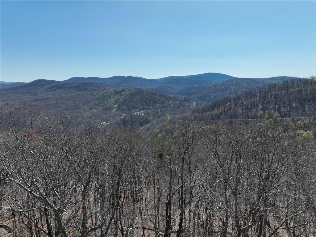 Ellijay, GA 30536,274 Andes RDG