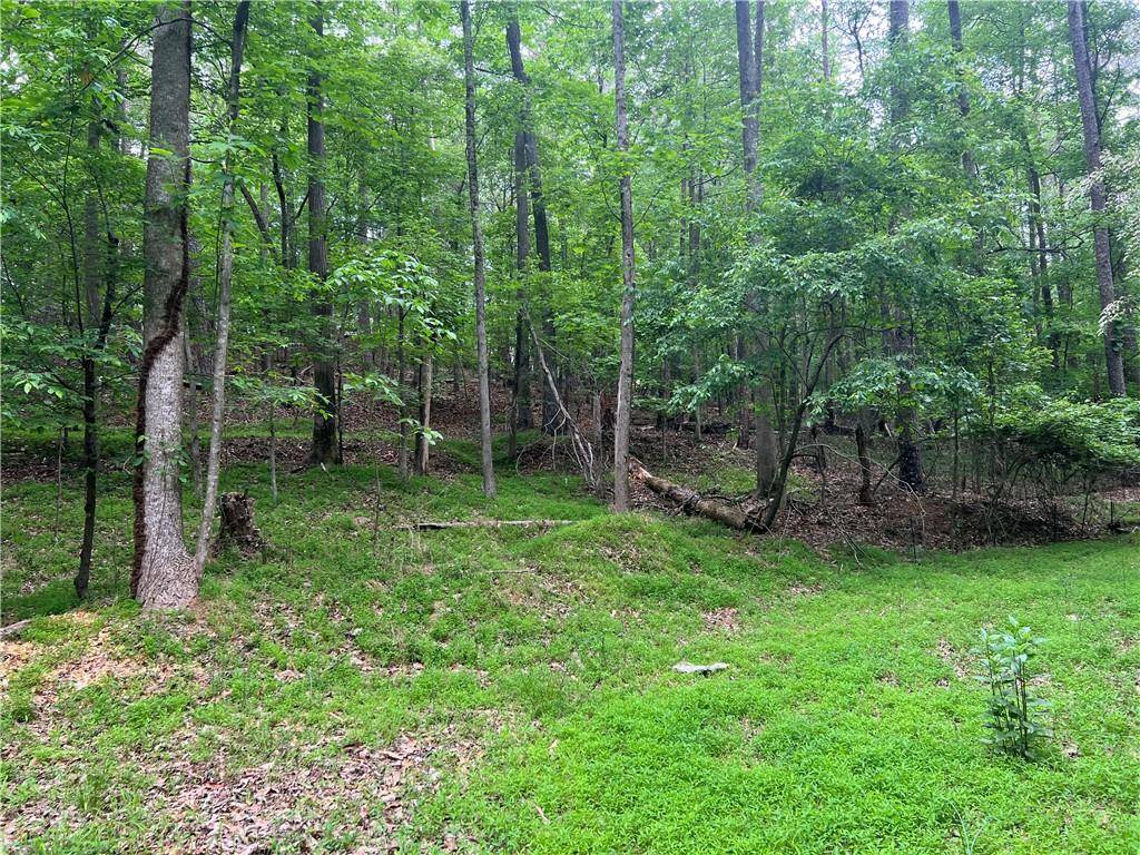 Suwanee, GA 30024,00 Old Atlanta lot 4 RD