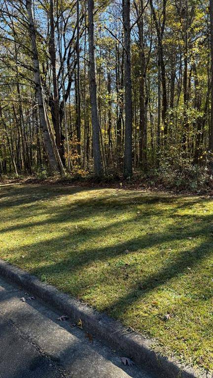 Ellenwood, GA 30284,LOT 15 Fairview Springs DR