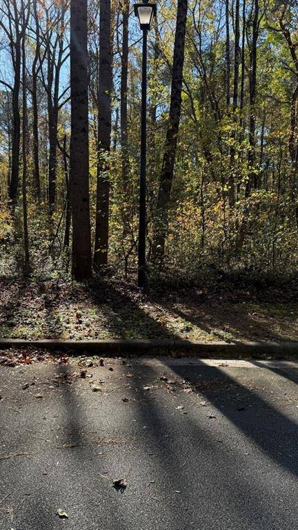 Ellenwood, GA 30284,LOT 15 Fairview Springs DR