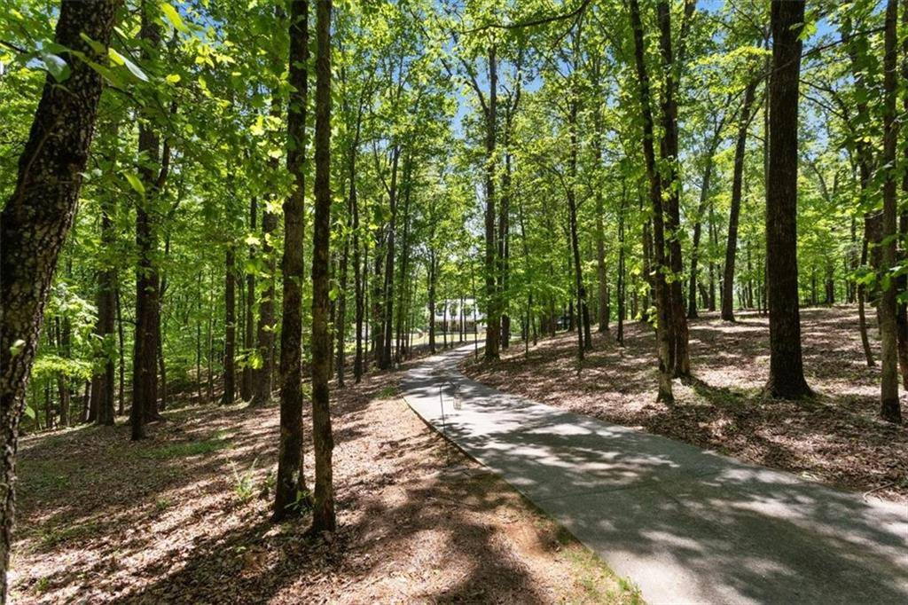 Canton, GA 30115,291 Miquel Jorge LN