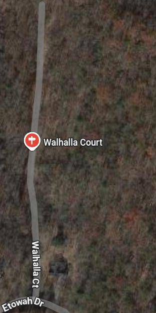 Ellijay, GA 30540,0 Walhalla CT