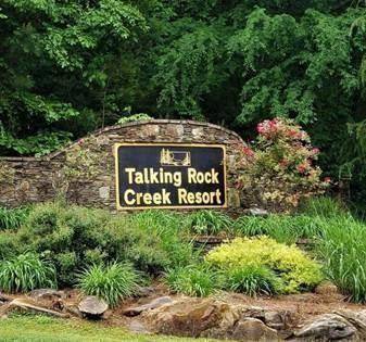 Talking Rock, GA 30175,1841 Hilltop CT