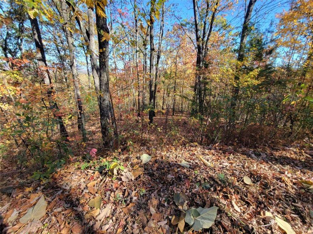 Ellijay, GA 30540,8 AC Old Burnt MTN