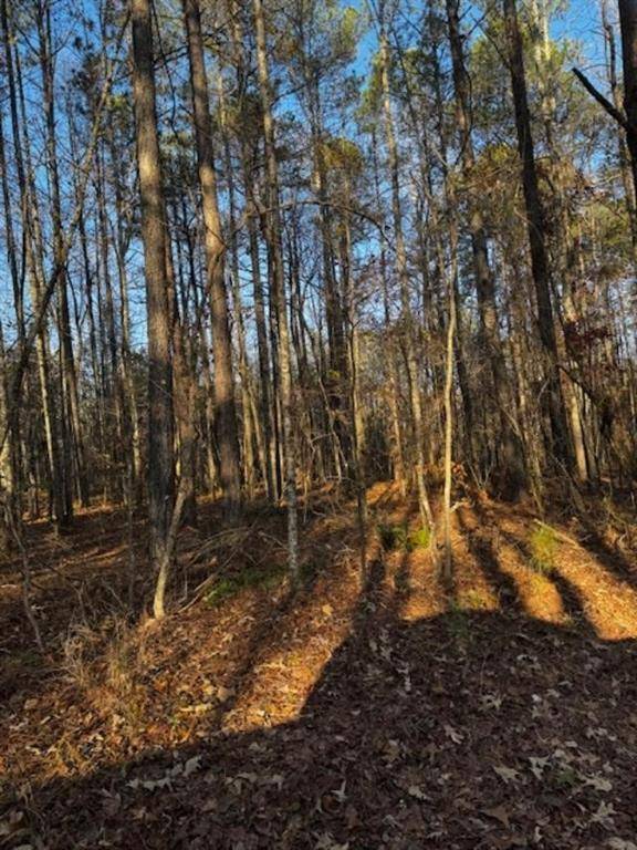 Dallas, GA 30157,370 Buchanan Circle Tract 2