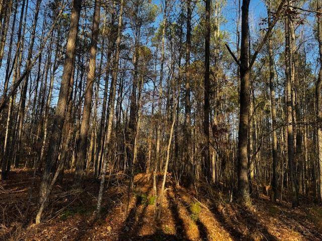 Dallas, GA 30157,370 Buchanan Circle Tract 2