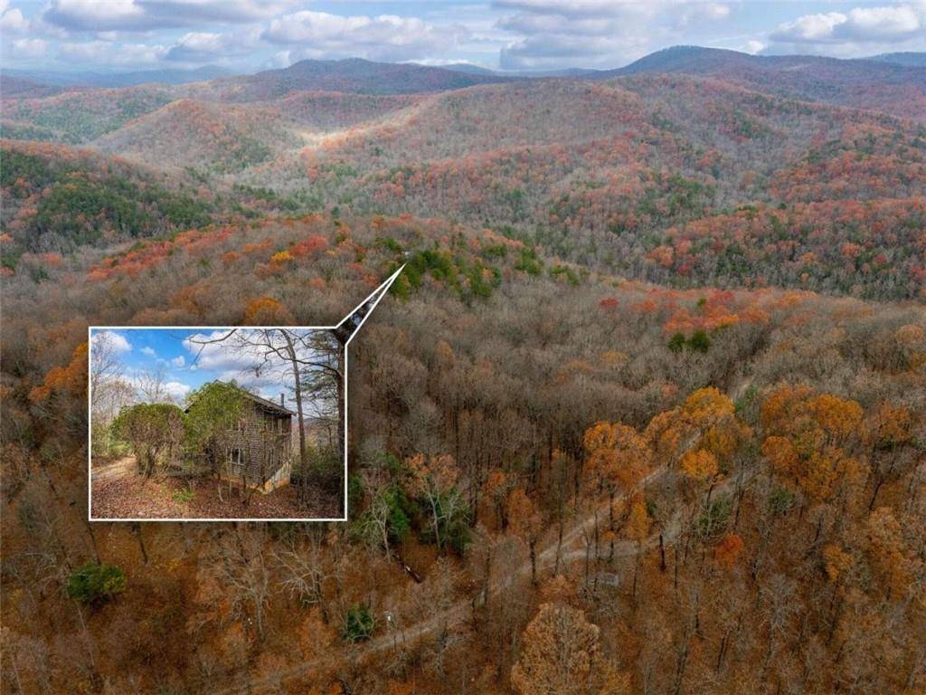 Ellijay, GA 30536,198 Hollow Log TRL
