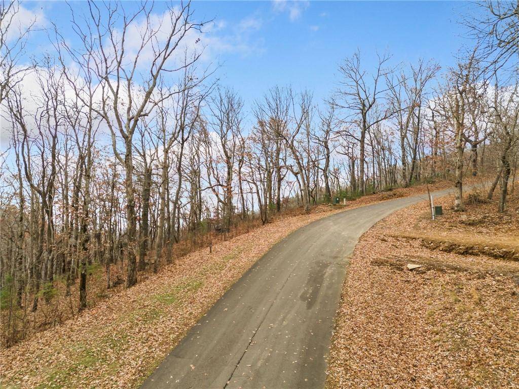 Ellijay, GA 30536,LT273 Andes RDG