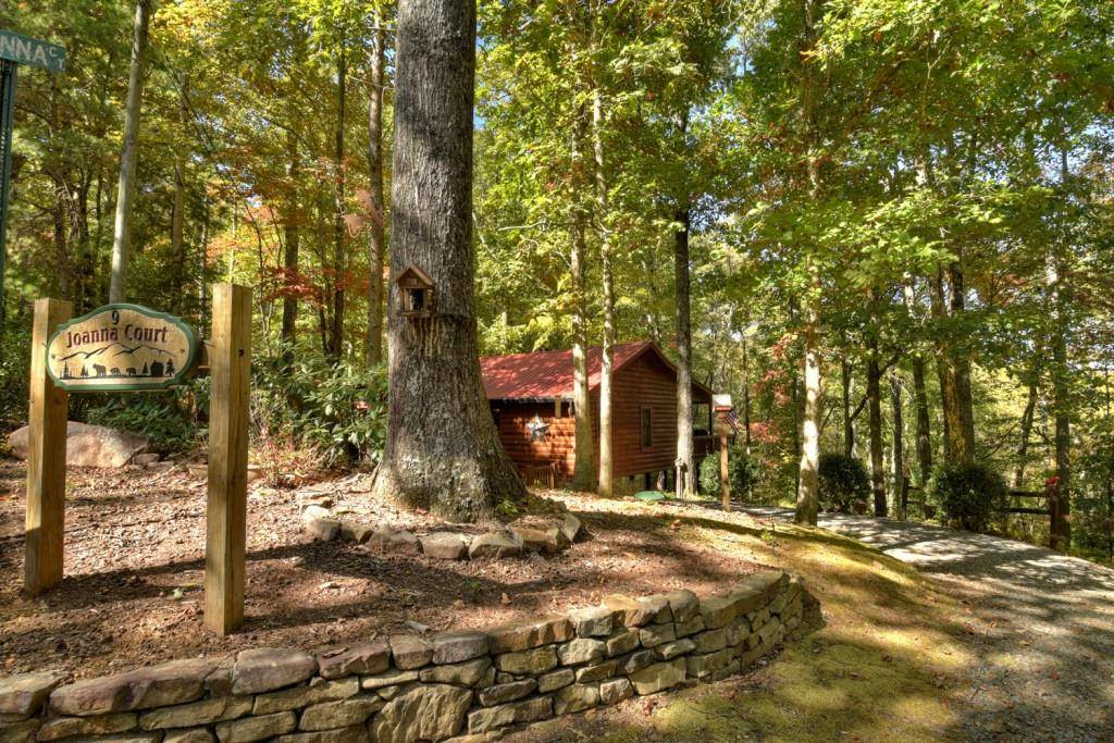 Cherry Log, GA 30513,9 Joanna CT