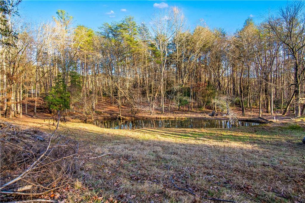 Ellijay, GA 30536,284 Tickanetley RD