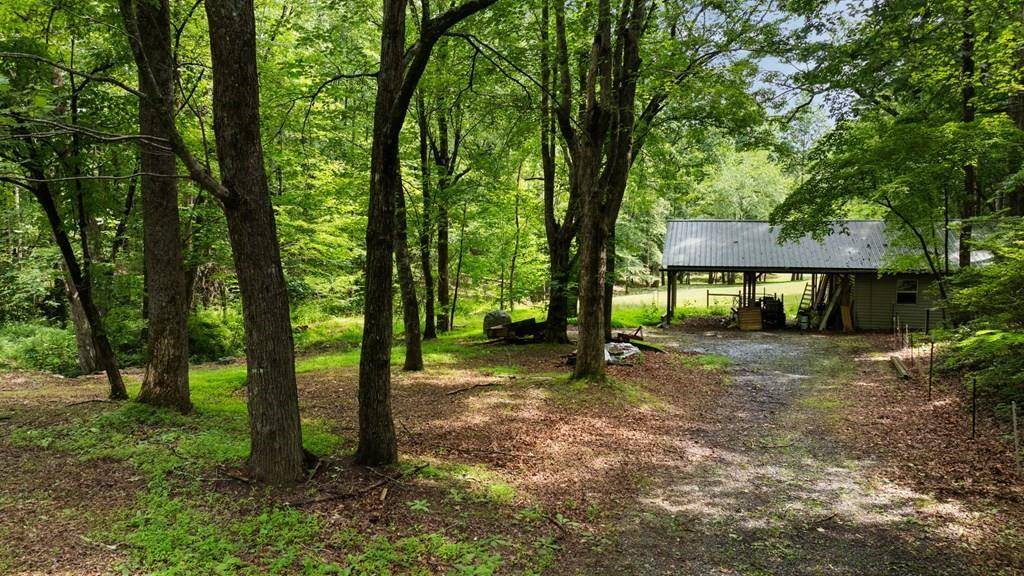 Ellijay, GA 30536,284 Tickanetley RD