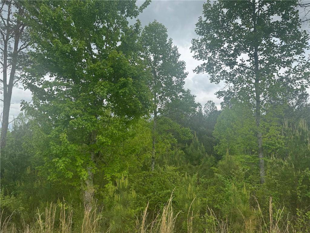 Blairsville, GA 30512,L231 Ridge Point