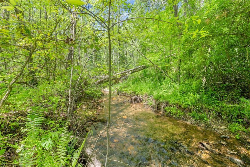 Dahlonega, GA 30533,000 TS Jarrard RD