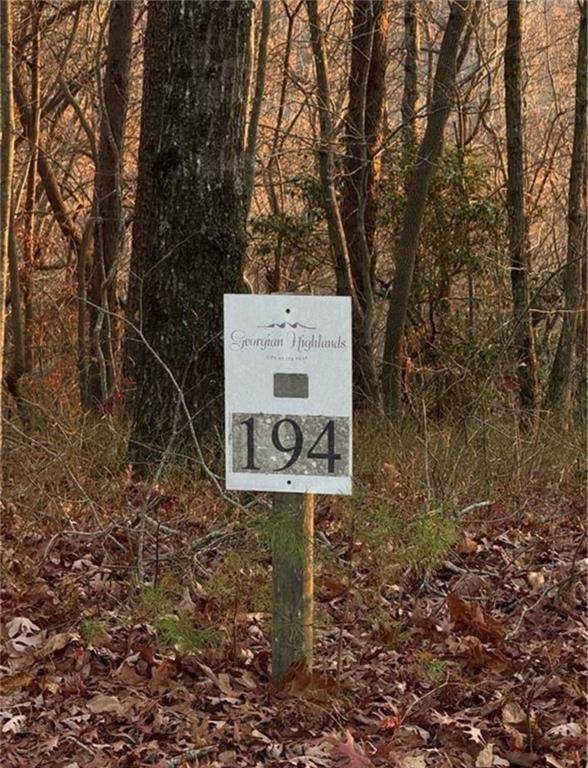 Ellijay, GA 30536,0 Highpointe Trail