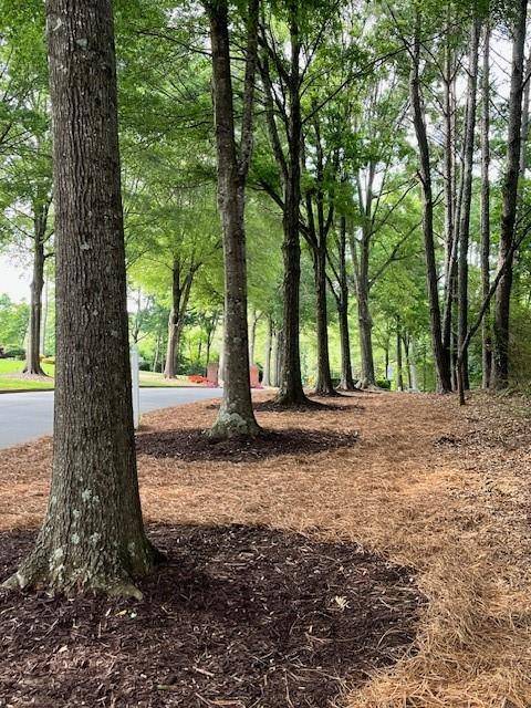 Roswell, GA 30075,00 Chaffin RD