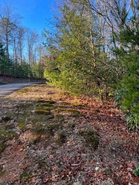 Ellijay, GA 30536,Lot 18 Frances Drive