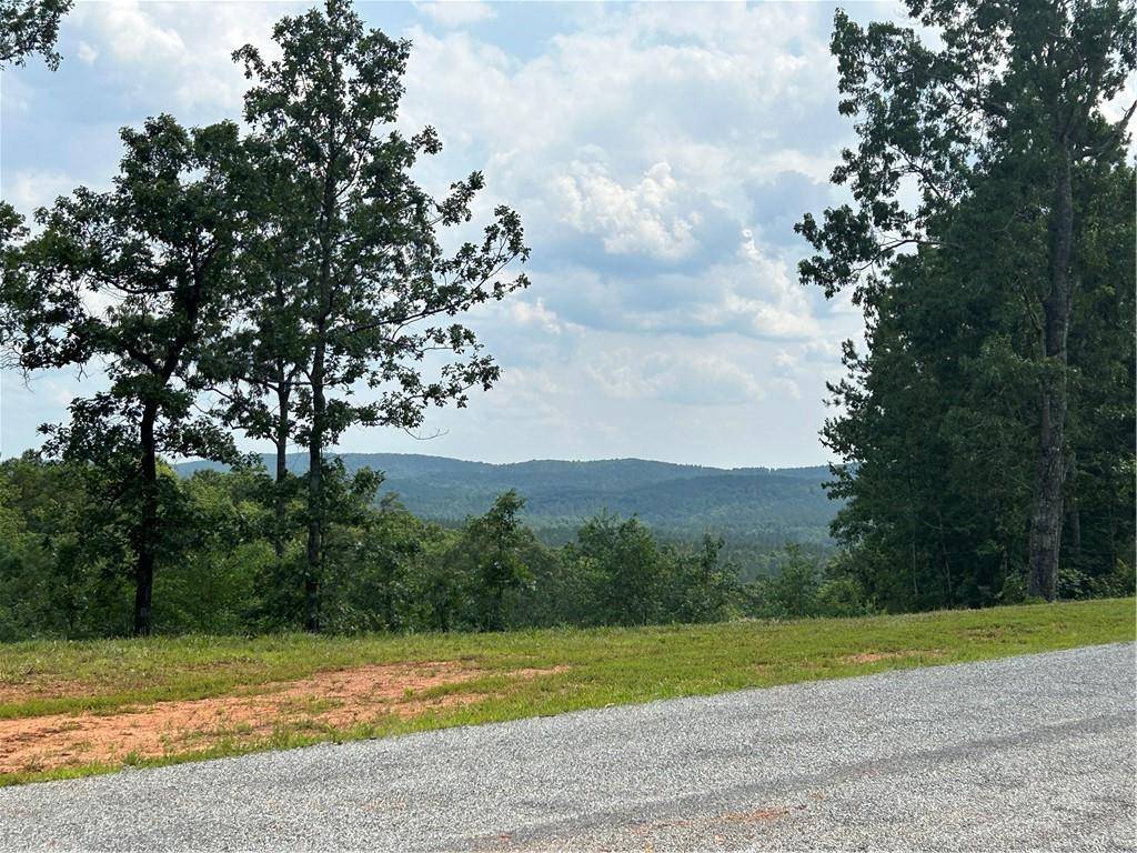 Ellijay, GA 30175,37 Blalock RD