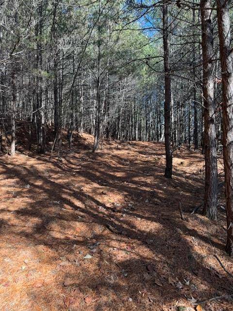 Dahlonega, GA 30533,0 Crown Mountain WAY