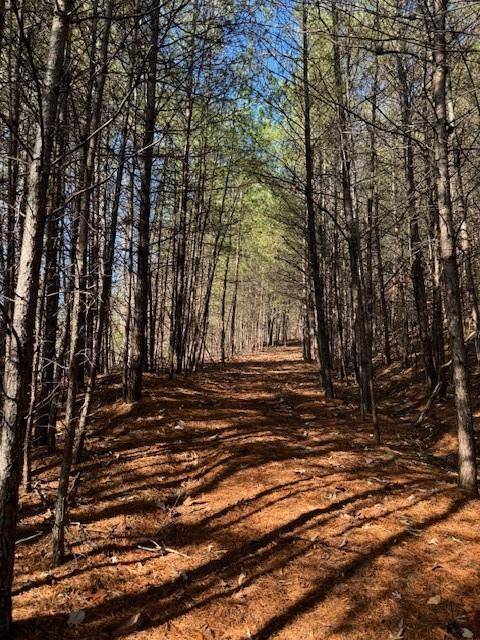 Dahlonega, GA 30533,0 Placer Mining RD