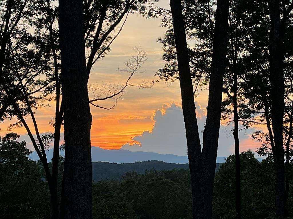 Mineral Bluff, GA 30559,132 Logan DR