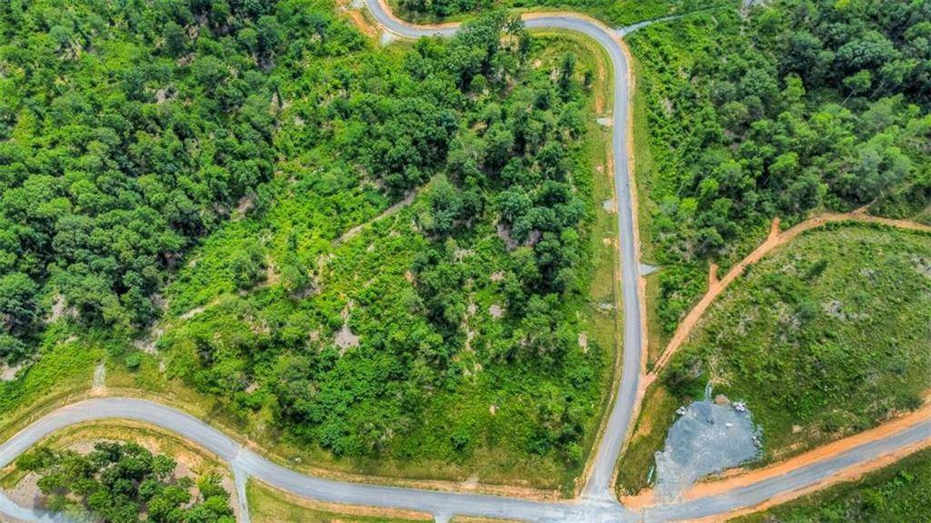 Talking Rock, GA 30175,LT 207 Oak Park DR