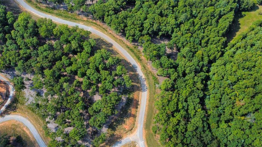 Morganton, GA 30560,LT 84 Ridge Dr