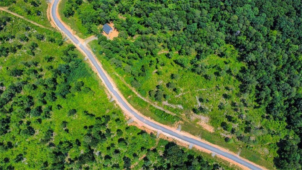 Talking Rock, GA 30175,LT 197 Oak Park DR