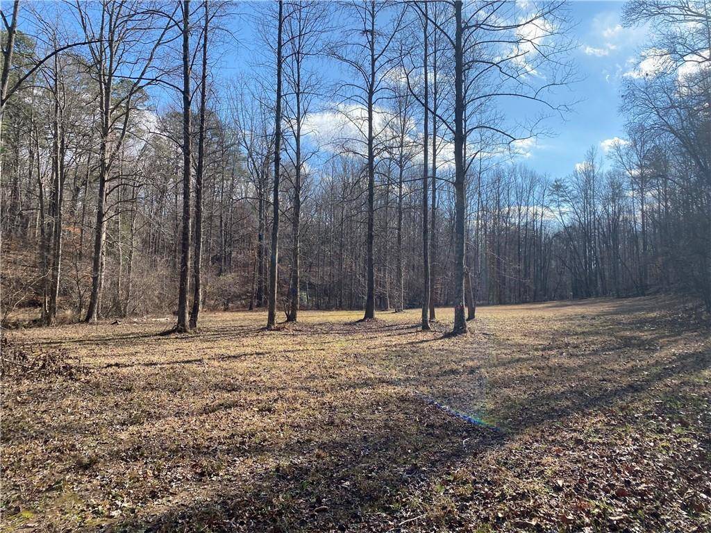 Dahlonega, GA 30533,11.88 Acres Sheep Wallow Rd