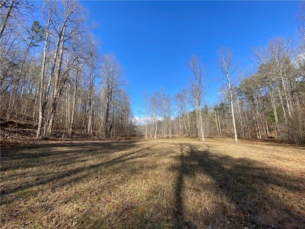 Dahlonega, GA 30533,11.88 Acres Sheep Wallow Rd