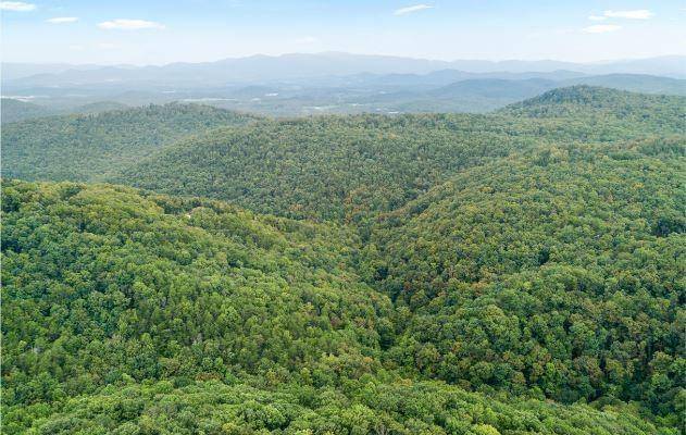 Ellijay, GA 30540,232 Andes Ridge