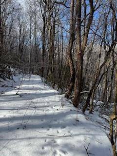 Jasper, GA 30143,18N Bear Paw RD