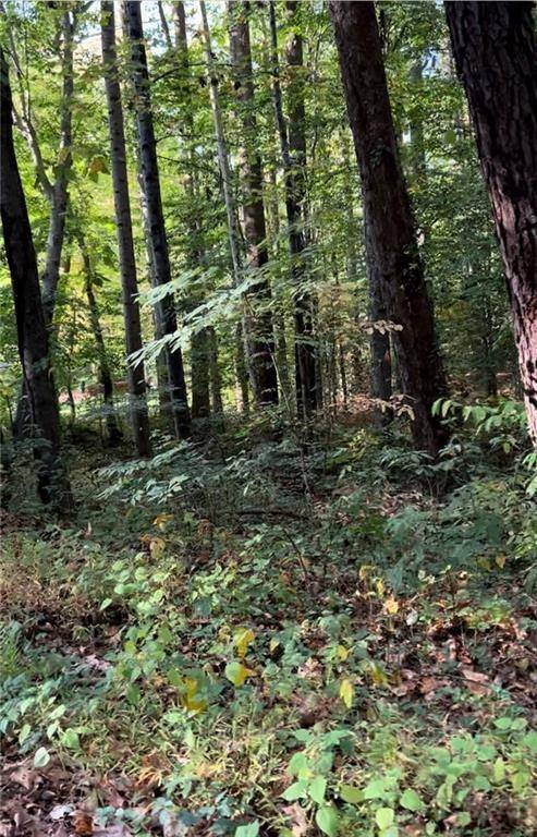 Acworth, GA 30102,2531 Mohawk TRL