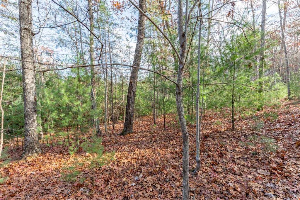 Blairsville, GA 30512,Lot 8 B & W Ranch RD