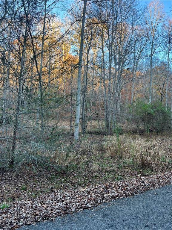 Blairsville, GA 30512,Address not disclosed