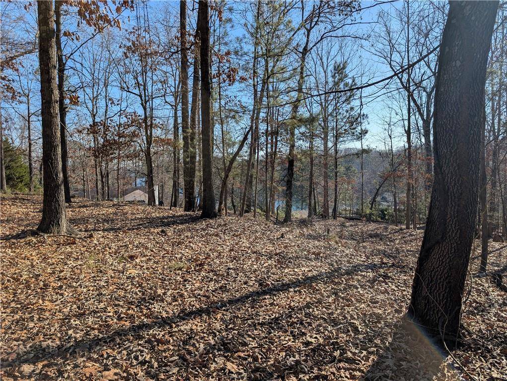 Gainesville, GA 30506,0 Hayes DR