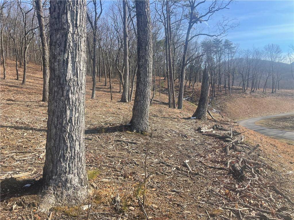 Talking Rock, GA 30175,Lot 21 High Summit DR