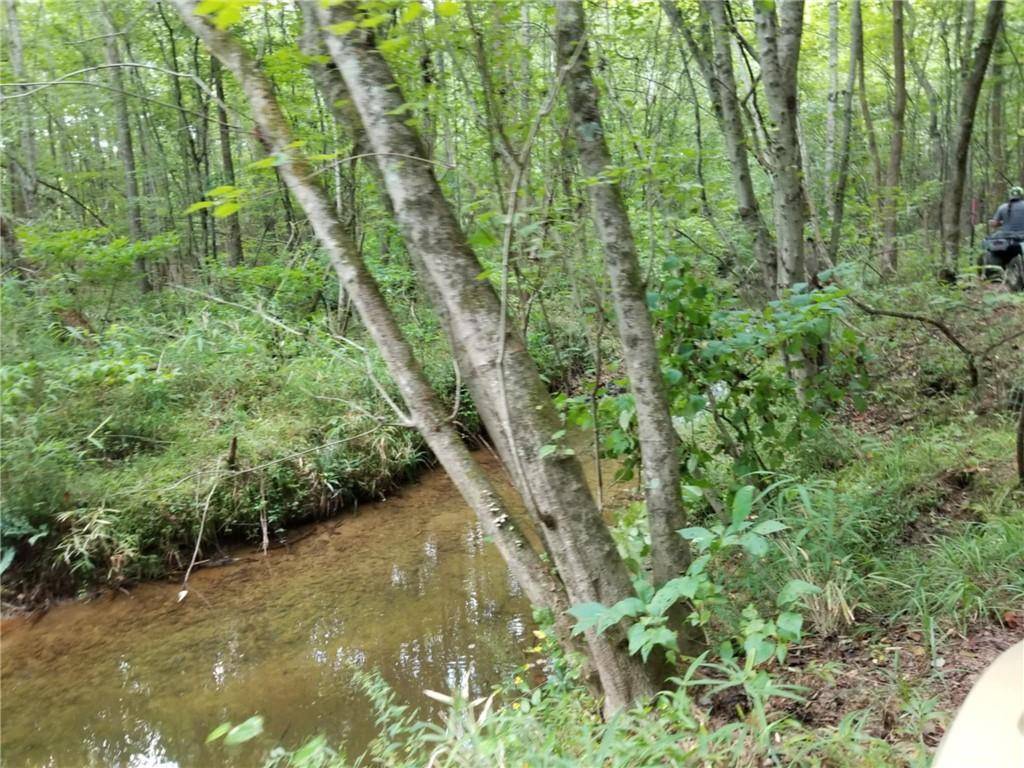 Franklin, GA 30217,000 Town Creek RD