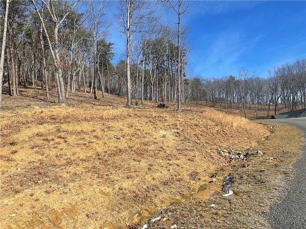 Talking Rock, GA 30175,Lot 17 High Summit DR