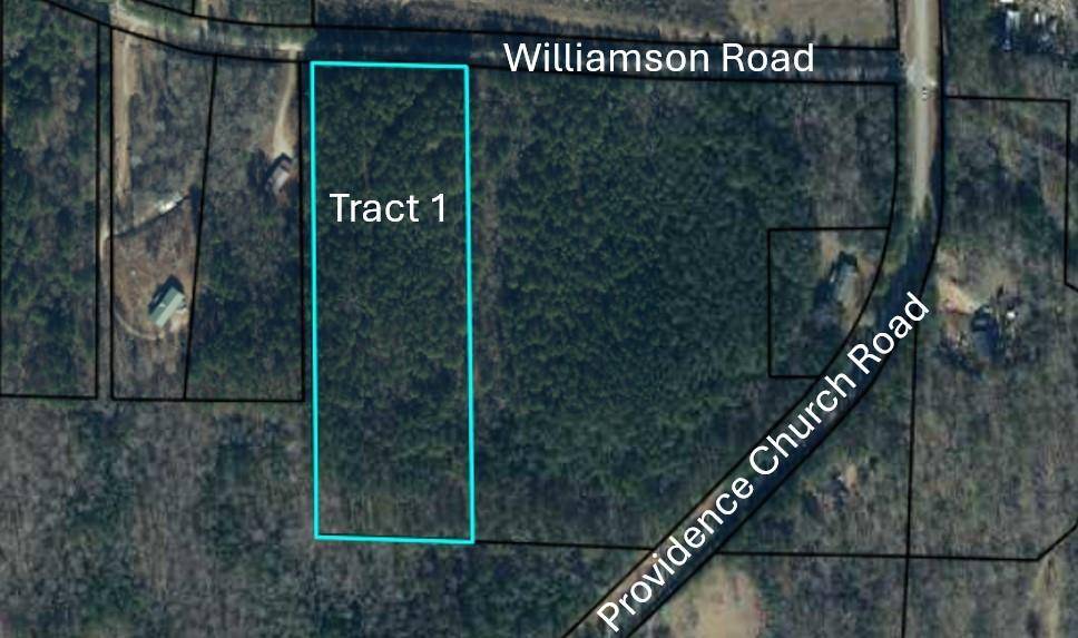 Tallapoosa, GA 30176,Tract1 Williamson RD