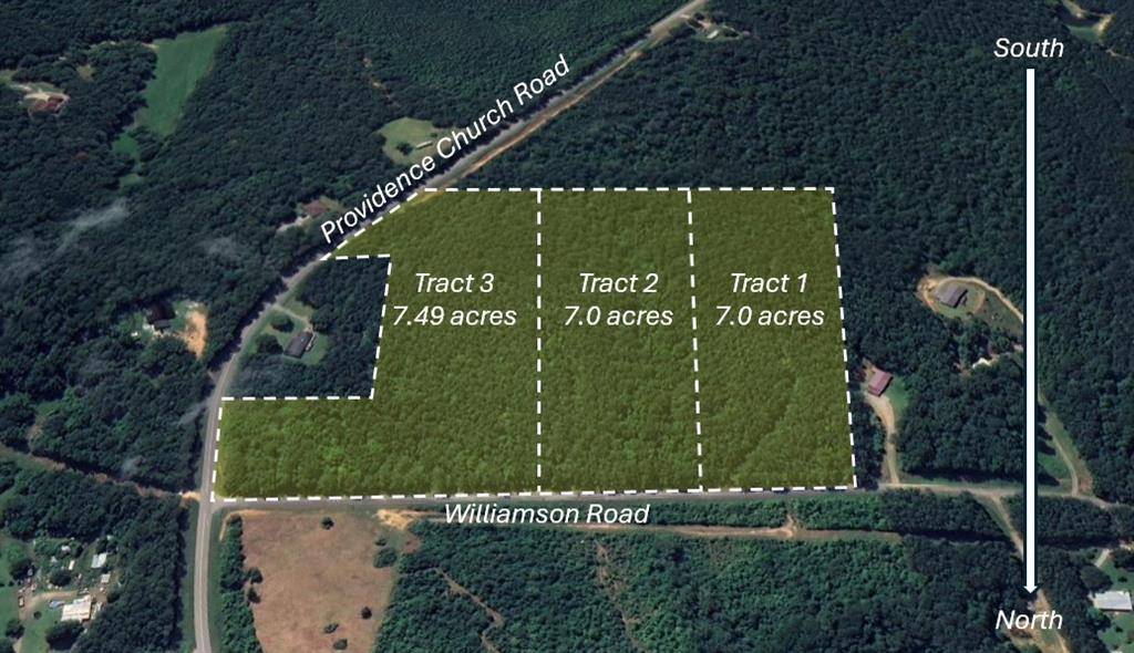 Tallapoosa, GA 30176,Tract1 Williamson RD