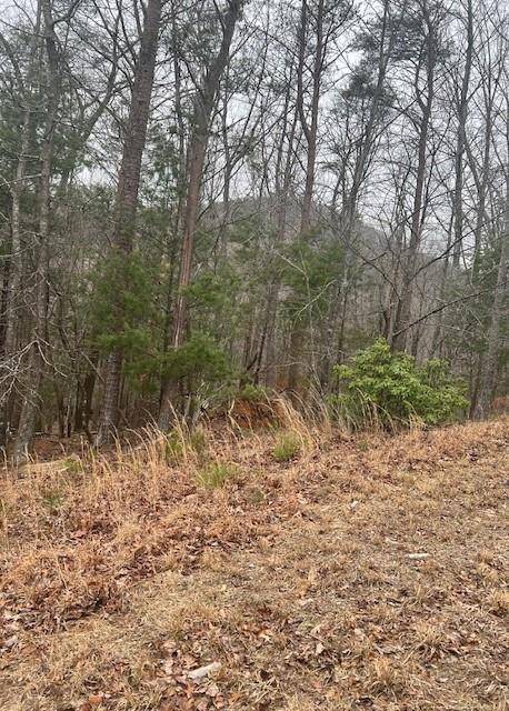 Jasper, GA 30143,0 Sharp Top Mountain TRL