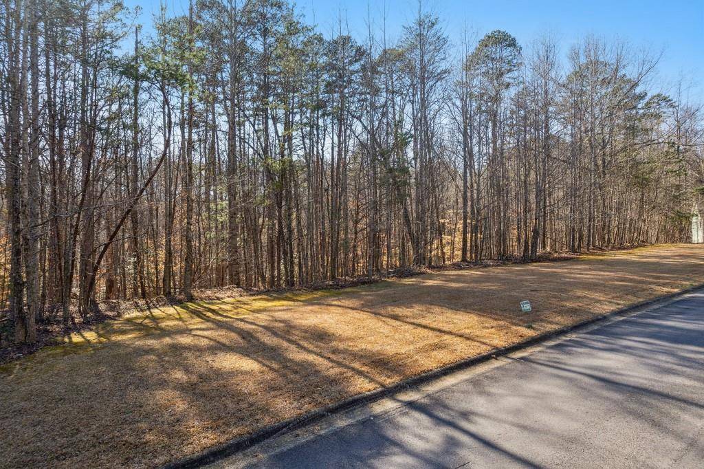 Dahlonega, GA 30533,0 Honey Tree TER